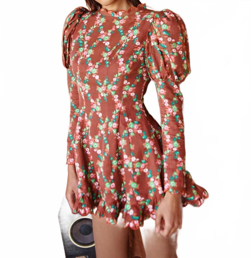 NEW CELIA B acacia mini dress in brown